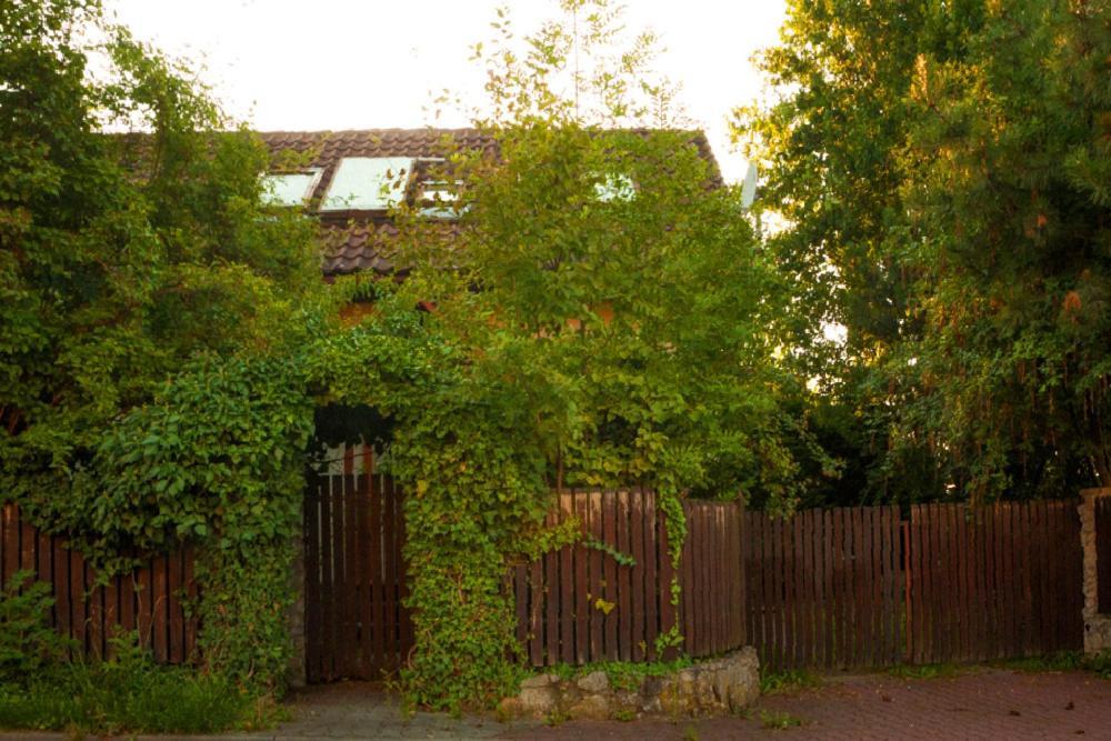 Krakowhouse Villa Libertow Bagian luar foto