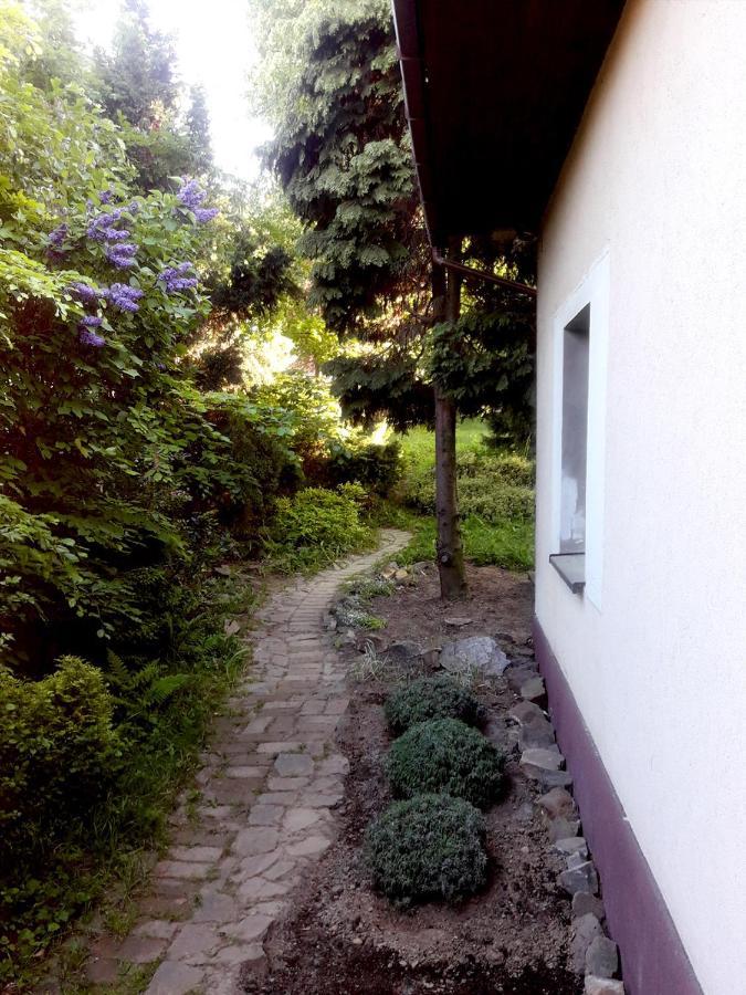 Krakowhouse Villa Libertow Bagian luar foto